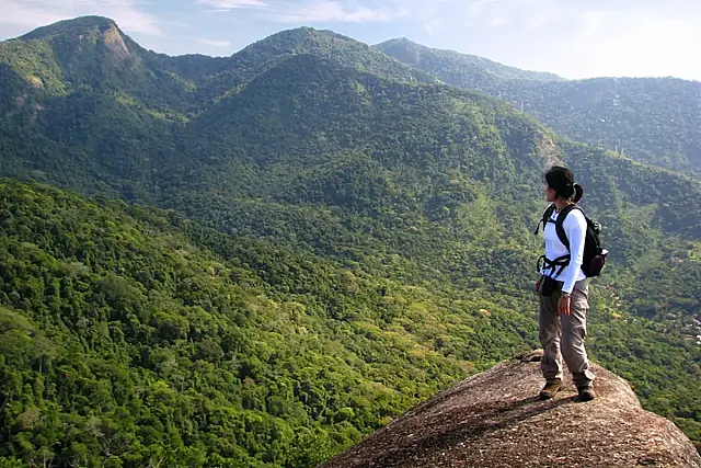 Conheça a maior floresta urbana do mundo, no Rio de Janeiro, com 12.500 hectares, 479 espécies e papel vital contra calor.