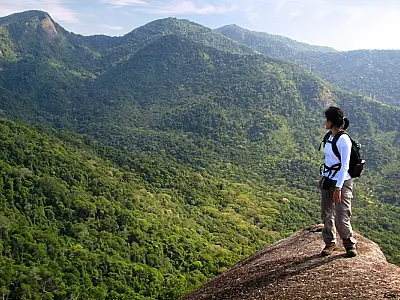 Conheça a maior floresta urbana do mundo, no Rio de Janeiro, com 12.500 hectares, 479 espécies e papel vital contra calor.