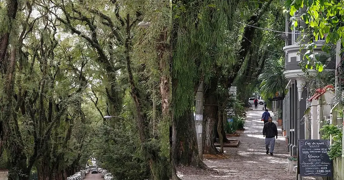 A rua no Brasil que virou símbolo mundial de harmonia entre cidade e natureza