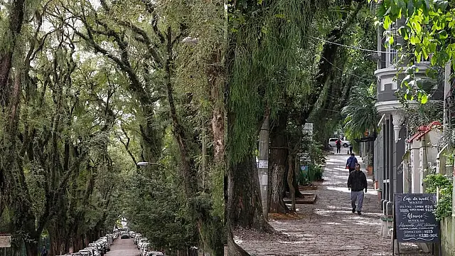 Descubra a Rua Gonçalo de Carvalho, em Porto Alegre, considerada a mais bonita do mundo.