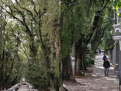 Descubra a Rua Gonçalo de Carvalho, em Porto Alegre, considerada a mais bonita do mundo.