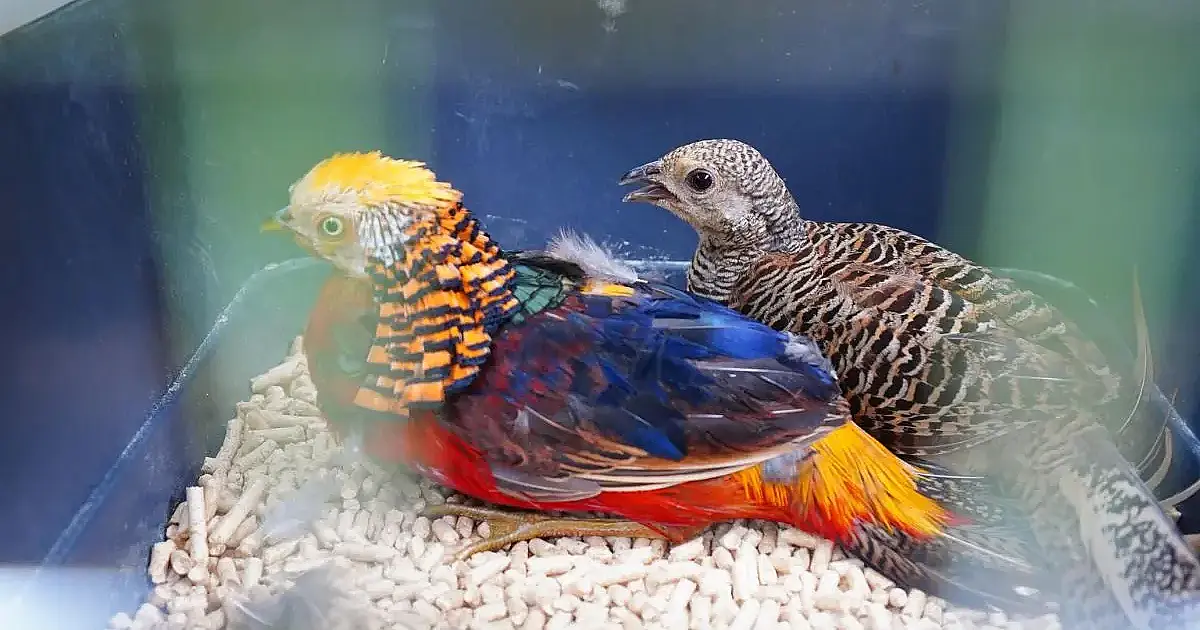 Após 19 anos de espera, Mongaguá ganha zoológico oficial e promete transformar turismo na Baixada Santista