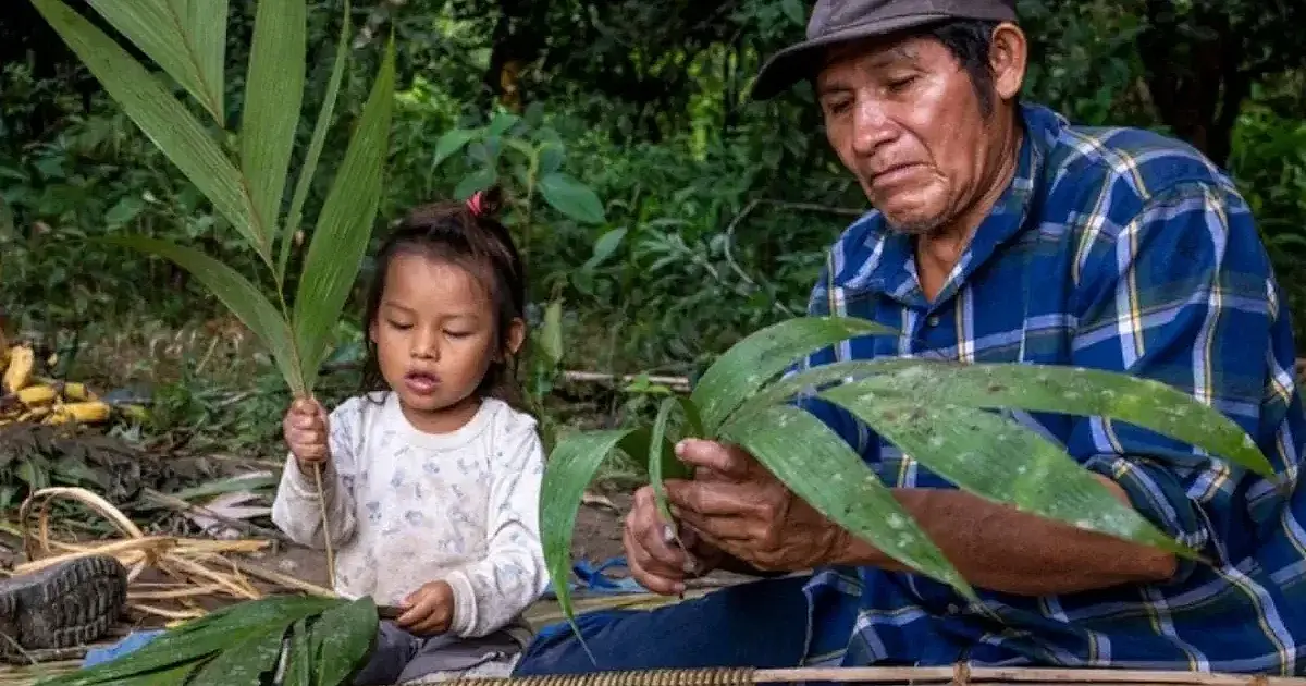 Tsimane, a comunidade indígena na Bolívia envelhecem mais devagar que o Ocidente
