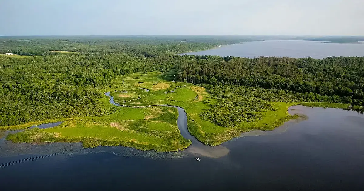Novo aquífero gigante na Amazônia já supera o Guarani e muda disputa pela água no planeta