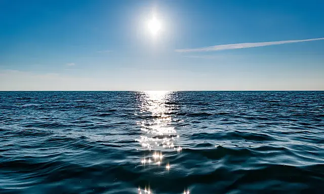 Tratado do Alto-Mar entra em vigor e promete revolucionar a conservação dos oceanos para o Brasil e o mundo com novas regras globais