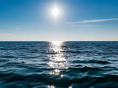 Descubra como o Tratado do Alto-Mar muda o jogo para o Brasil na proteção de oceanos além das fronteiras nacionais, com foco em biodiversidade sustentável e benefícios compartilhados.