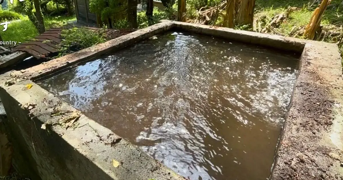 Fonte nas montanhas volta a jorrar água cristalina após décadas de abandono