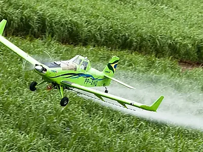 Agrotóxicos estão mais nocivos em todo o mundo, mostra estudo.