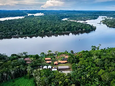 Descubra como o Fundo Amazônia aporta R$ 80 milhões para produção agrícola comunitária sustentável, beneficiando indígenas, quilombolas e agricultores familiares na Amazônia Legal.
