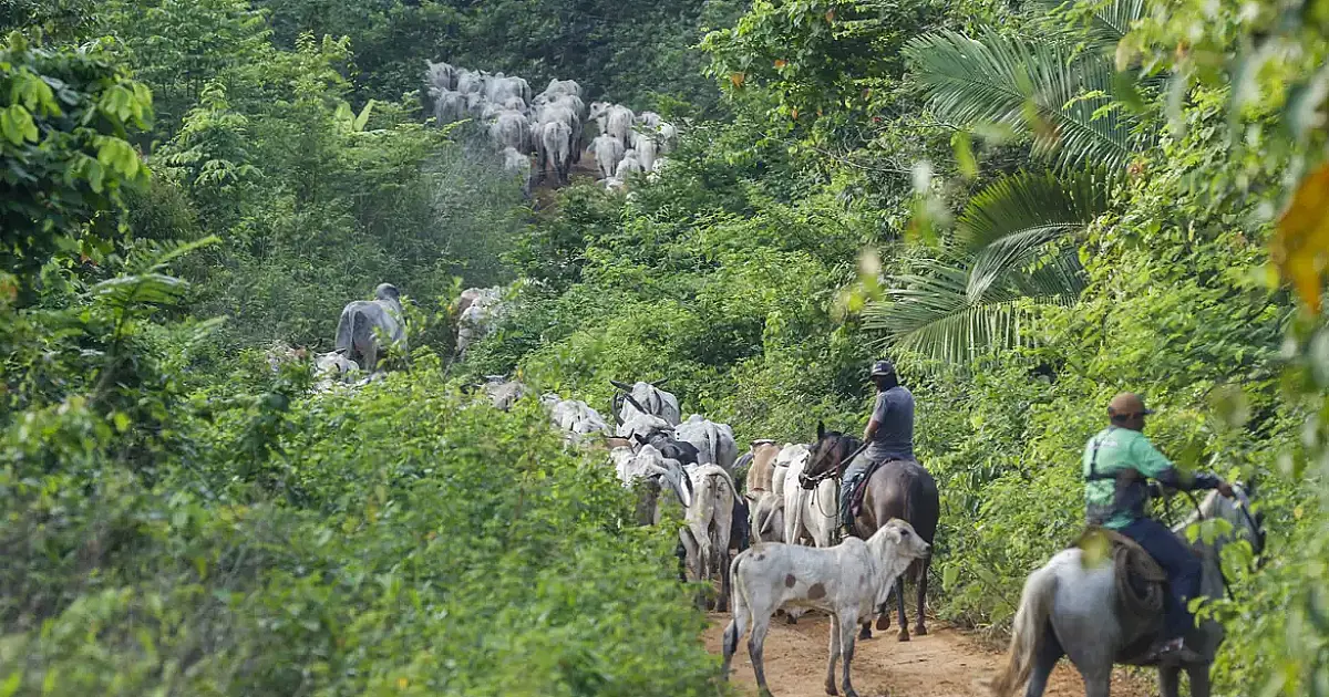 IBC-Br aponta crescimento de 2,5% na atividade econômica brasileira em 2025