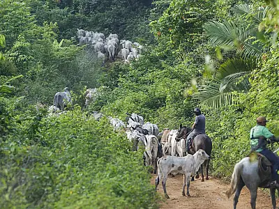 IBC-Br registra expansão de 2,5% na atividade econômica do Brasil em 2025, sinalizando ritmo mais lento após 3,7% no ano anterior.