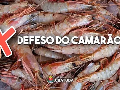 Entenda o período de defeso do camarão, vigente até 30 de abril, que restringe a pesca no Sul e Sudeste para preservar estoques e garantir futuro da atividade pesqueira.