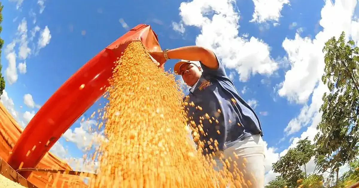 Conab projeta safra recorde de grãos no Brasil com 353,4 milhões de toneladas na temporada 2025/26 e crescimento na soja