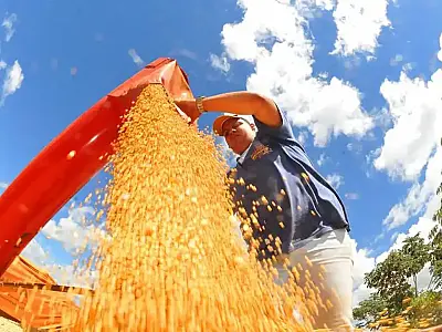 Produção de grãos no Brasil pode atingir 353,4 milhões de toneladas na safra 2025/26, segundo a Conab.