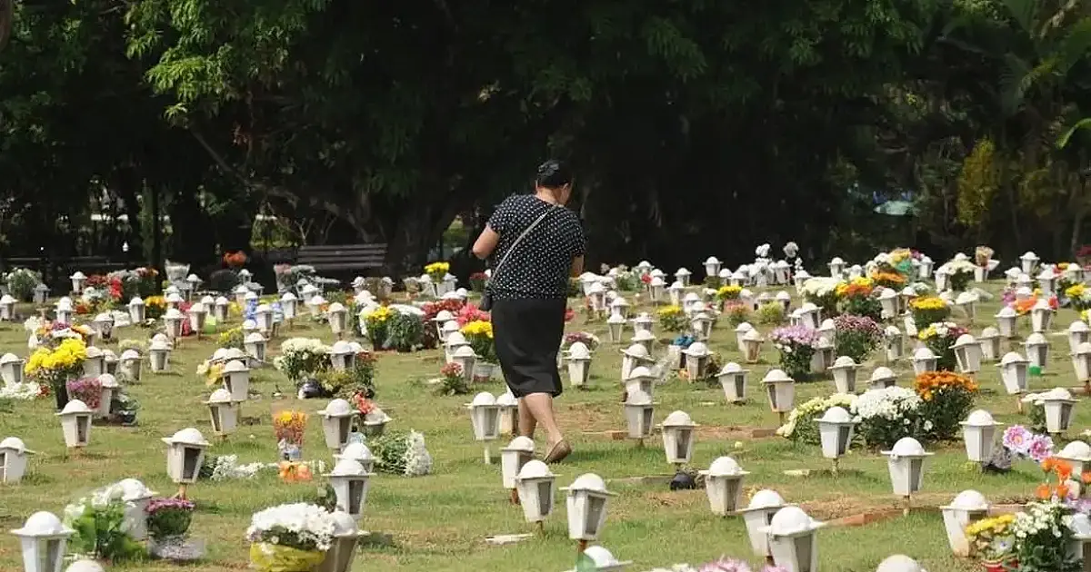 Governador sanciona lei que permite sepultamento de cães e gatos em jazigos familiares em São Paulo