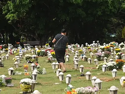 Lei em vigor permite que cães e gatos sejam sepultados em jazigos familiares em São Paulo.