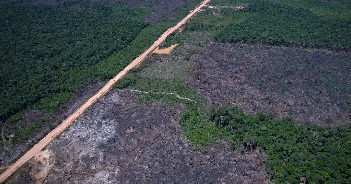 Câmara aprova urgência de projeto que pode acabar com embargos ambientais baseados em satélite