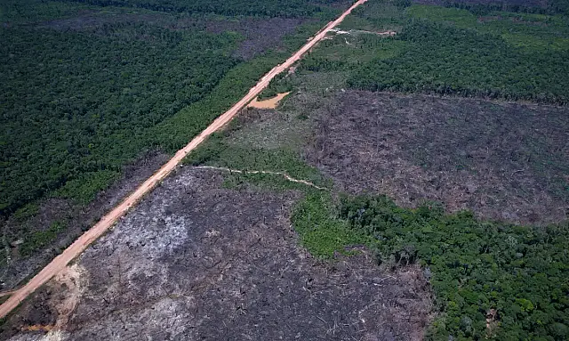 A Câmara dos Deputados aprovou urgência para o PL 2564/2025, que altera a Lei de Crimes Ambientais.