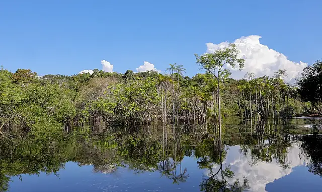 Governo informa captação de R$ 179 bilhões desde 2023 para a transição ecológica e aprova R$ 27,5 bilhões para o Fundo Clima em 2026.
