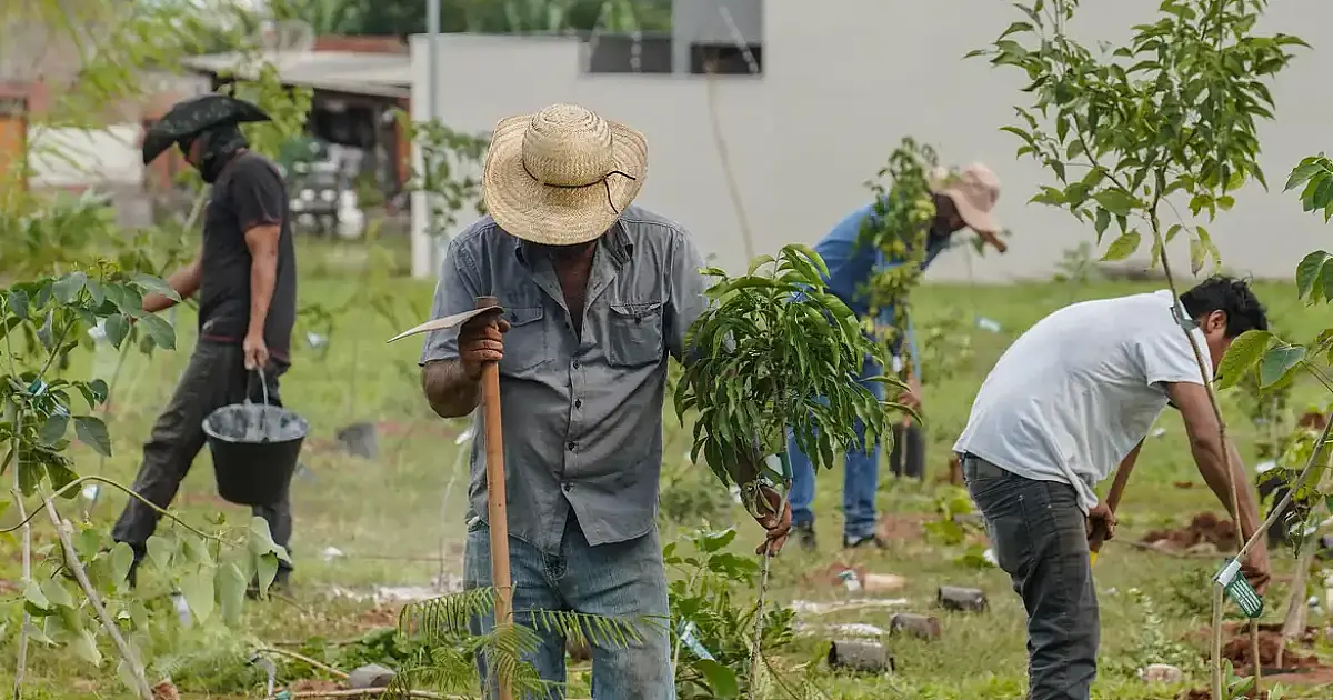 Banco do Brasil vai neutralizar emissões de carbono da COP15 de espécies migratórias no Brasil
