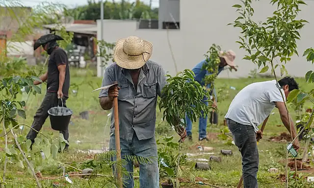 Banco do Brasil anuncia neutralização de até 3 mil tCO₂e da COP15 sobre espécies migratórias, fortalecendo seu papel na economia de baixo carbono e na conservação ambiental.