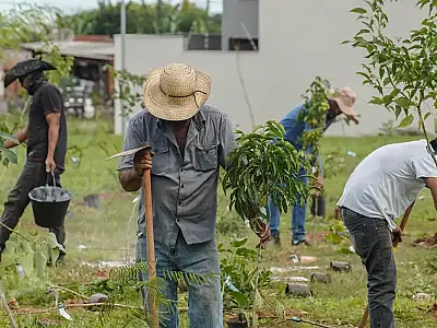 Banco do Brasil anuncia neutralização de até 3 mil tCO₂e da COP15 sobre espécies migratórias, fortalecendo seu papel na economia de baixo carbono e na conservação ambiental.