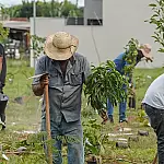 Banco do Brasil vai neutralizar emissões de carbono da COP15 de espécies migratórias no Brasil