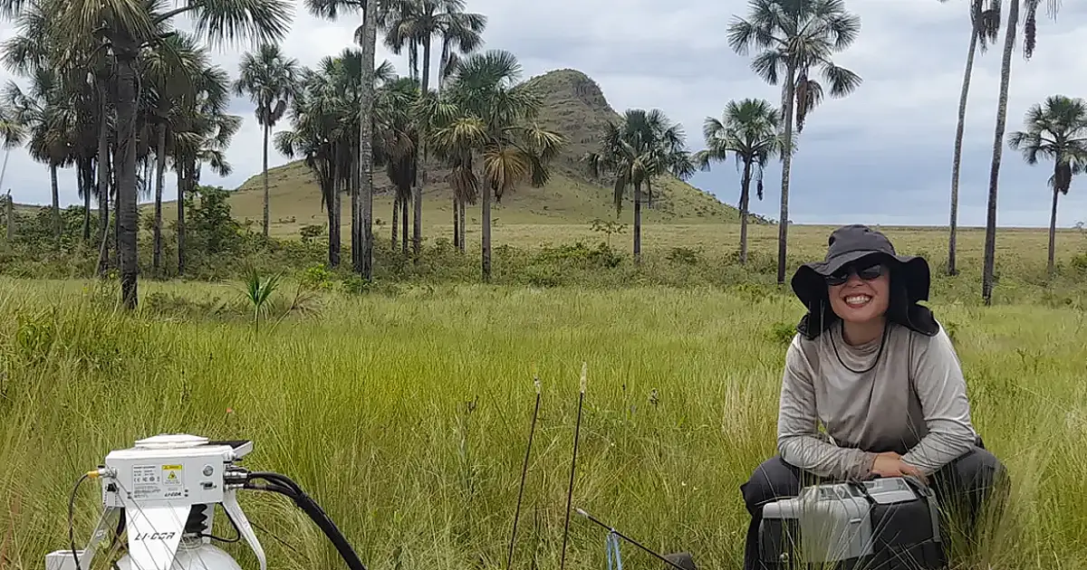 Estudo sobre carbono no Cerrado aponta estoque subterrâneo maior que a média amazônica e amplia alerta climático