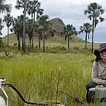 Estudo sobre carbono no Cerrado aponta estoque subterrâneo maior que a média amazônica e amplia alerta climático