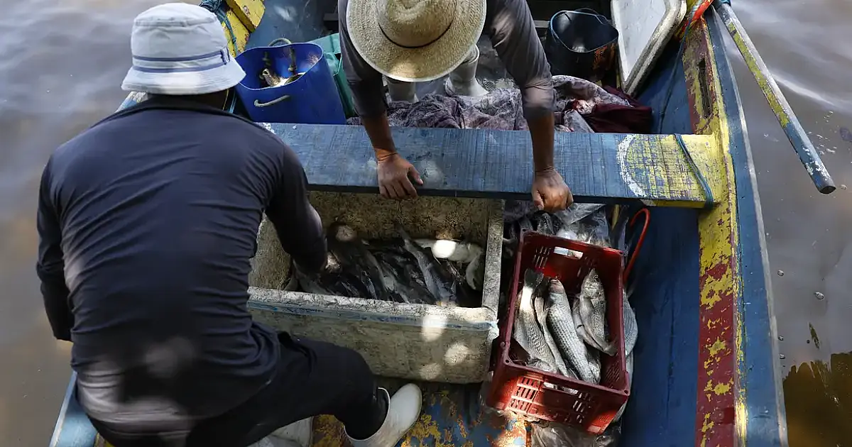 Pescadores artesanais recebem 6º lote do Seguro-Defeso nesta terça com R$ 179,7 milhões