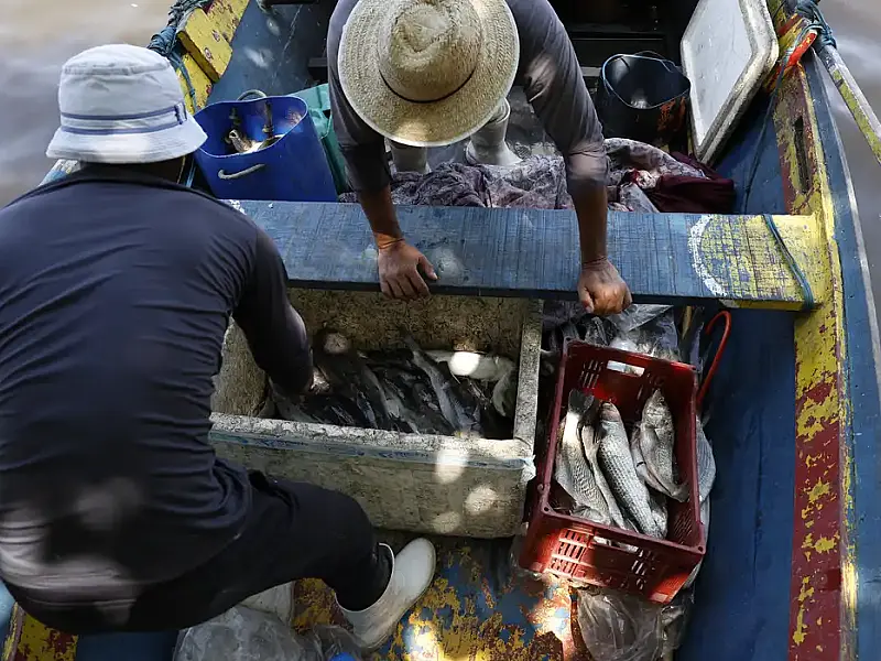 Pescadores artesanais recebem 6º lote do Seguro-Defeso nesta terça com R$ 179,7 milhões