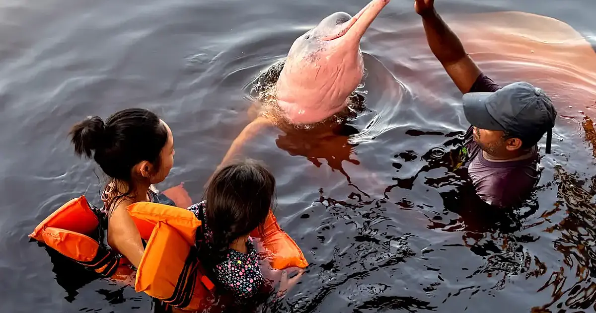 Insegurança impede 62% das mulheres de viajarem sozinhas no Brasil, aponta pesquisa recente