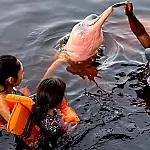 Insegurança impede 62% das mulheres de viajarem sozinhas no Brasil, aponta pesquisa recente