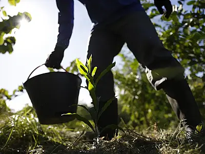 O Plano Nacional de Desenvolvimento da Bioeconomia (PNDBio) foi apresentado nesta quarta-feira (1º) com 185 ações para gerar renda sustentável a partir da biodiversidade brasileira, ampliando pagamentos ambientais e fitoterápicos no SUS.