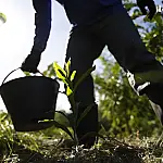 Governo lança Plano Nacional de Bioeconomia para transformar biodiversidade em prosperidade até 2035