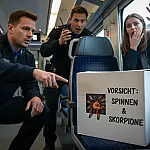 Pacote com 20 tarântulas causa alerta em trem na Alemanha após ser esquecido por passageira