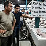 Importação de tilápia supera exportação pela primeira vez e acende alerta no Brasil