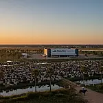 A cidade brasileira com 23 bois por habitante e o maior frigorífico de jacaré do mundo