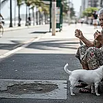 Furtos na Baixada Santista: criminosos miram de pets a cadeiras de rodas em nova onda de crimes