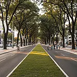 Maringá: a cidade paranaense que supera o Japão em limpeza e organização urbana