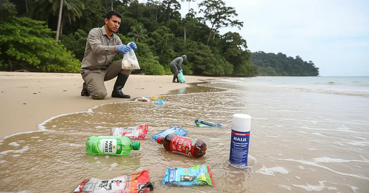 Lixo vindo da Ásia percorre 17 mil km e invade praias de reserva ambiental em SP
