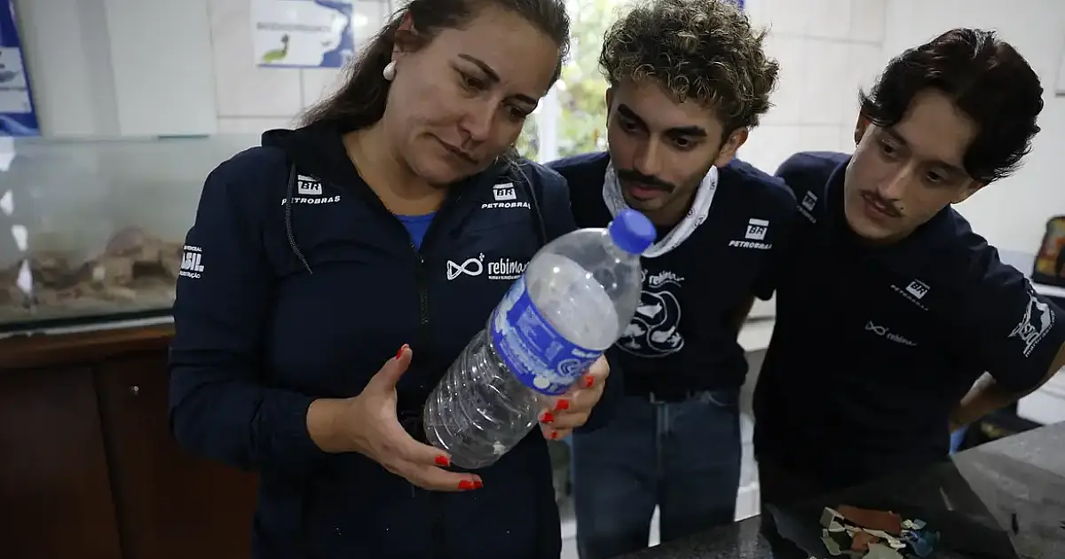 Microplástico no prato: Estudo revela contaminação em 93% dos peixes do litoral