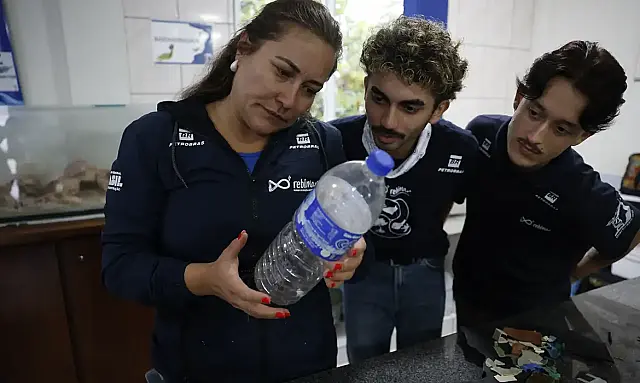 Pesquisa analisa a presença de resíduos plásticos invisíveis que afetam a vida marinha e a cadeia alimentar.