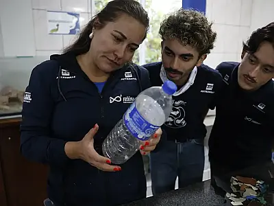 Microplástico no prato: Estudo revela contaminação em 93% dos peixes do litoral