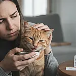 Complexo Respiratório Felino: Por que um simples espirro do seu gato pode ser um alerta grave