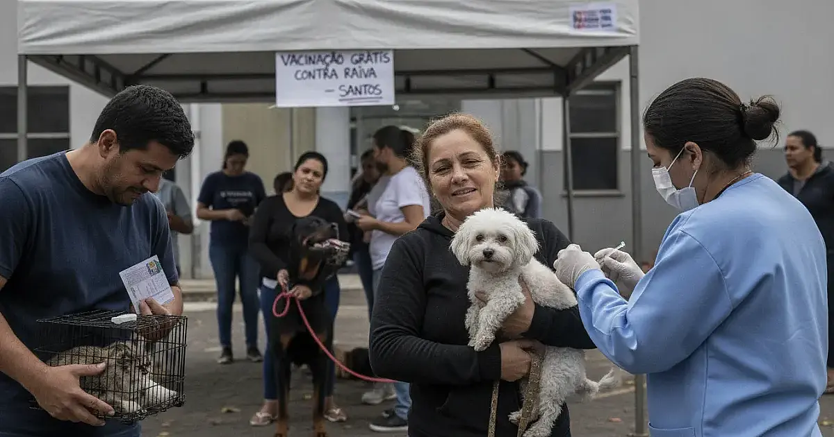 Santos retoma vacinação gratuita contra raiva para cães e gatos; veja como participar