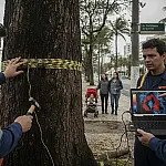 Guarujá utiliza tecnologia de tomografia para 'ler' árvores e prevenir acidentes