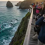 Fernando de Noronha: O santuário onde centenas de golfinhos dão espetáculo ao amanhecer