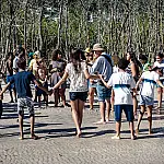 Como a música está transformando a relação de crianças com o manguezal na Zona Oeste do Rio