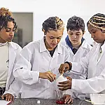 Bolsa Estágio SP abre inscrições para estudantes da rede estadual com auxílio financeiro